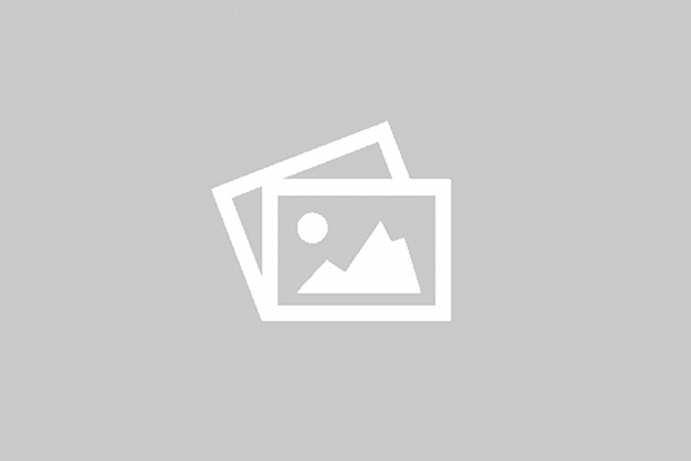 QUARTER INSERT – 0.8mm- QUARTER – 265 x 162mm